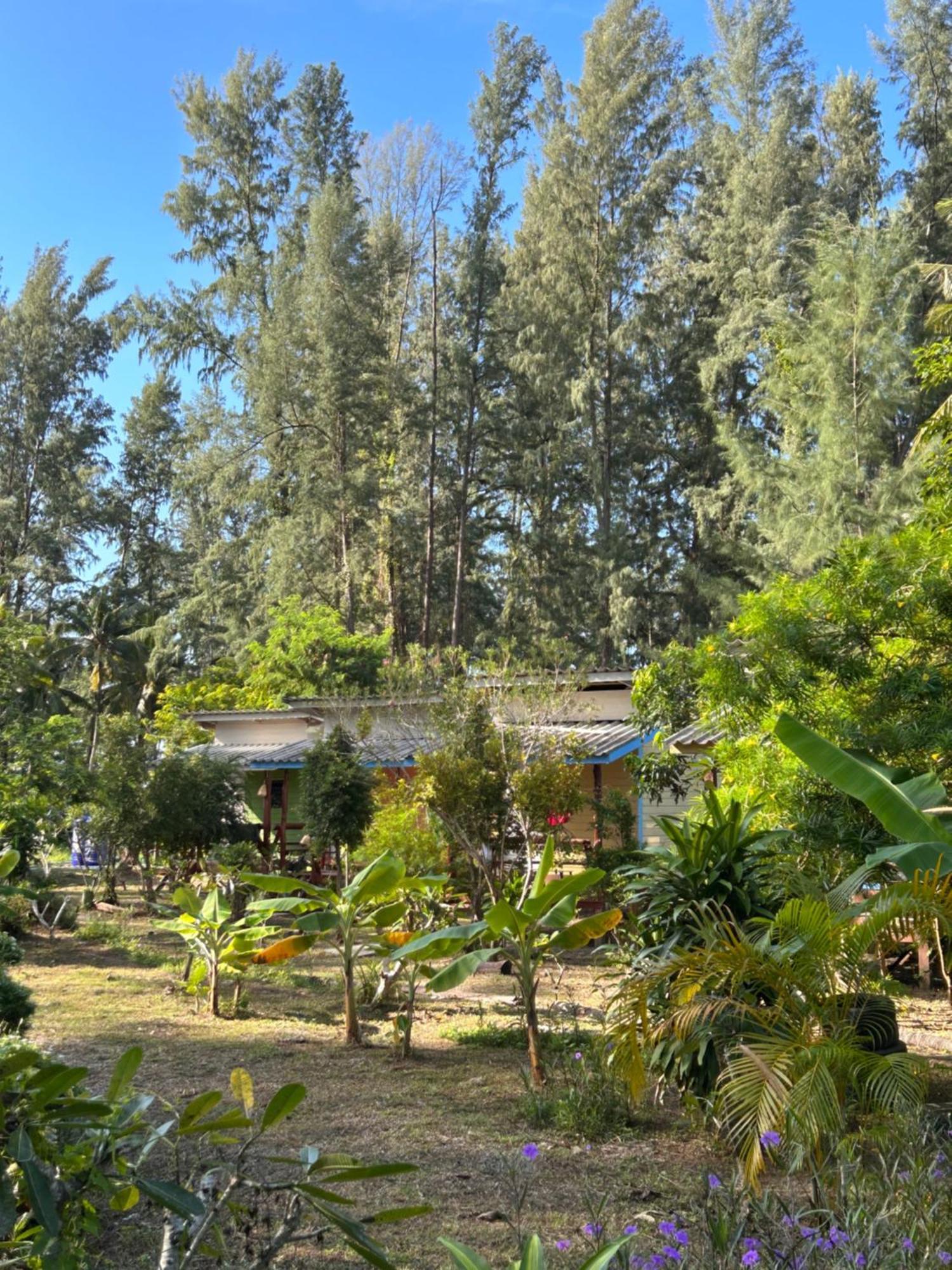 Neverland Beach Village Bungalows Ko Lanta Zewnętrze zdjęcie