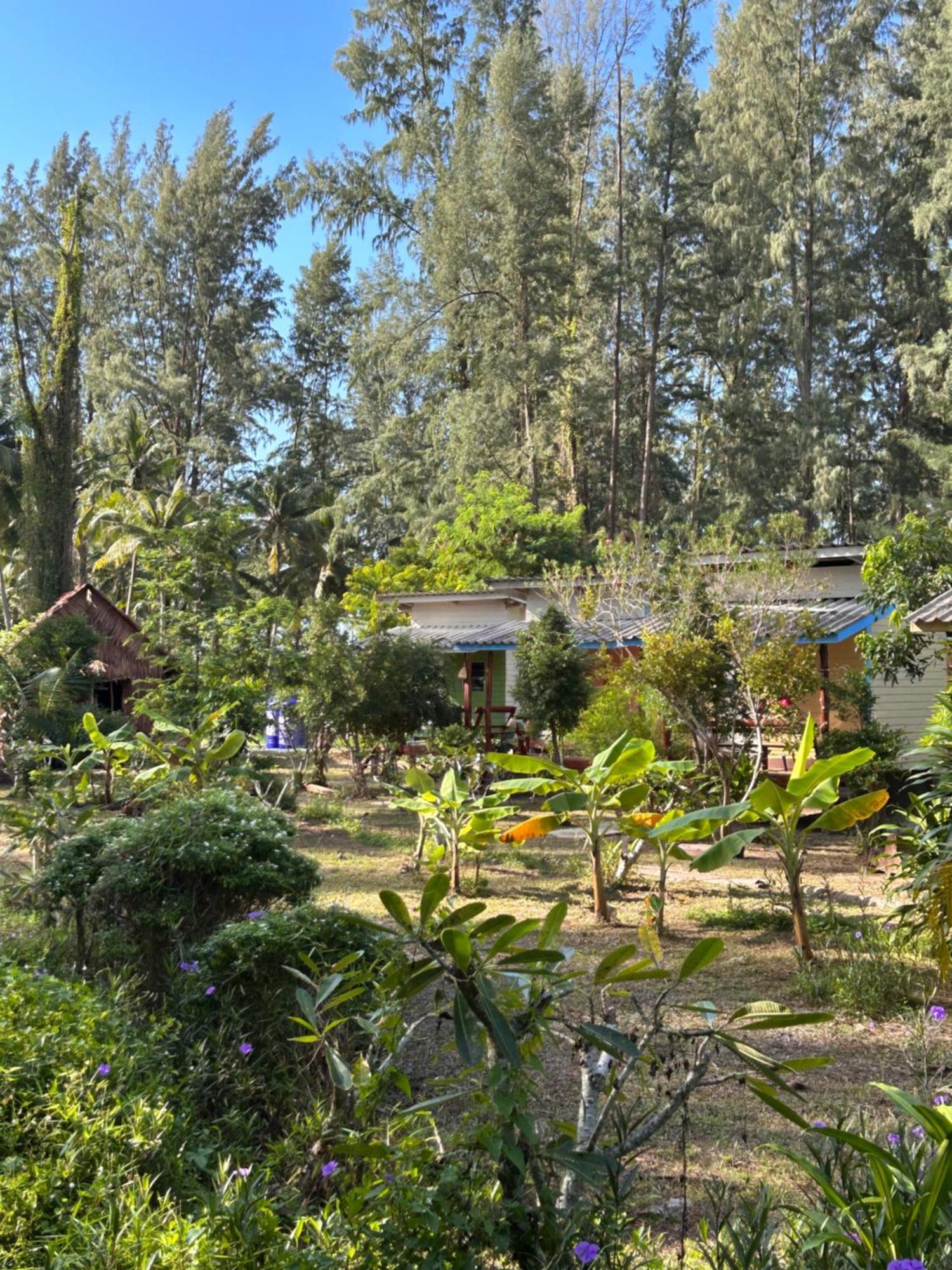 Neverland Beach Village Bungalows Ko Lanta Zewnętrze zdjęcie